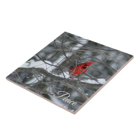 Carreau Cardinal dans la neige (Côté)