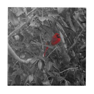 Carreau Cardinal dans une tuile d'arbre