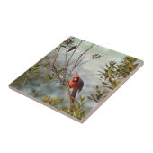 Carreau Cardinal de Wax Myrtle (Côté)