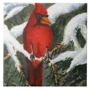 Carreau Cardinal des oiseaux rouges dans les pins enneigés