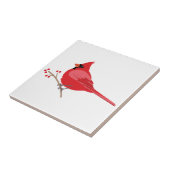 Carreau Cardinal du Nord (Côté)