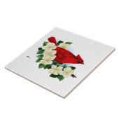 Carreau Cardinal du nord masculin (Côté)