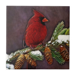 Carreau Cardinal et Pinecones