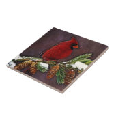 Carreau Cardinal et Pinecones (Côté)