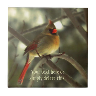 Carreau Cardinal féminin