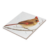 Carreau Cardinal féminin (Côté)