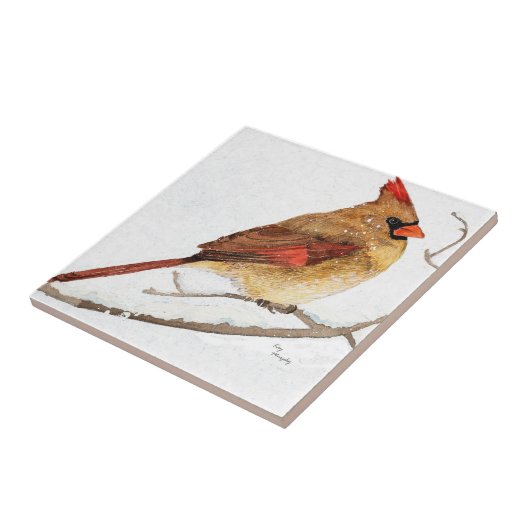 Carreau Cardinal féminin (Côté)