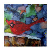 Carreau Cardinal la nuit (Devant)