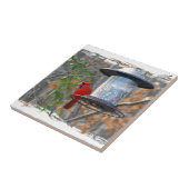 Carreau Cardinal masculin (Côté)