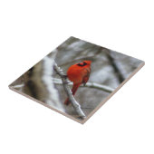 Carreau Cardinal masculin (Côté)