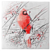 CARREAU CARDINAL MASCULIN D'HIVER (Devant)