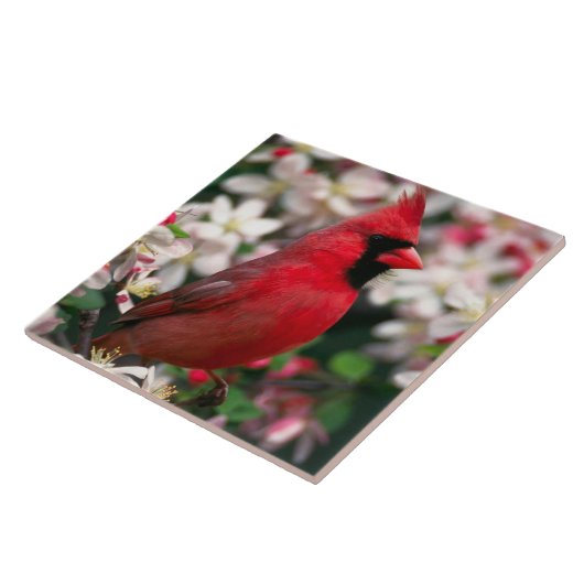 Carreau Cardinal masculin rouge (Côté)