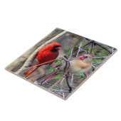 Carreau Cardinal Paire Carrelage en céramique (Côté)