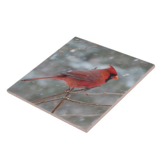 Carreau Cardinal rouge (Côté)