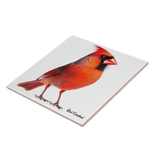 Carreau Cardinal rouge (Côté)