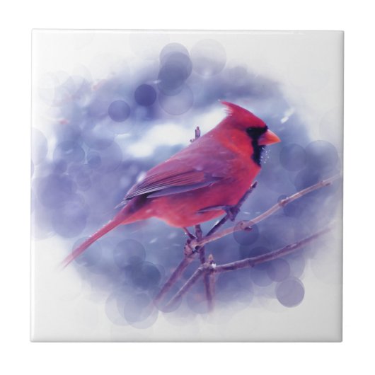 Carreau Cardinal rouge au Blizzard (Devant)