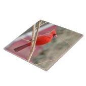 Carreau Cardinal Rouge Cardinal Carrelage céramique (Côté)