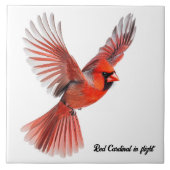 Carreau Cardinal rouge en vol (Devant)