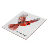 Carreau Cardinal rouge en vol (Côté)