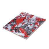 Carreau Cardinal rouge mâle, Hiver, IL (Côté)