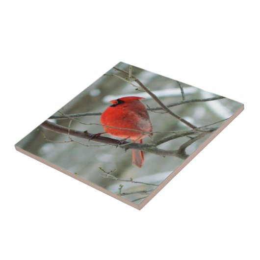 Carreau Cardinal rouge vif Cardinal Cardinal Cardinal (Côté)