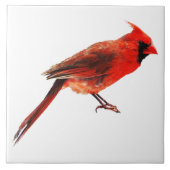 Carreau Cardinal(s) (Devant)