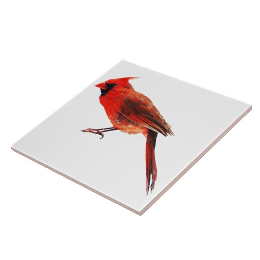 Carreau Cardinal(s) (Côté)