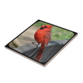 CARREAU CARDINAL SUR LA BARRIÈRE-2 (Côté)