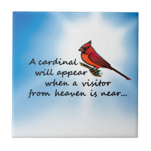 Carreau Cardinal, visiteur de ciel