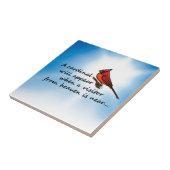 Carreau Cardinal, visiteur de ciel (Côté)