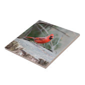 Carreau Cardinal Woodland (Côté)