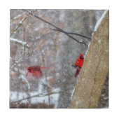 Carreau Cardinaux dans la neige (Devant)