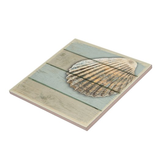 Carreau Cardita Shell (Côté)