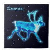 Carreau Caribou bleu (rennes) (Devant)