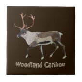 Carreau Caribou des bois (Devant)