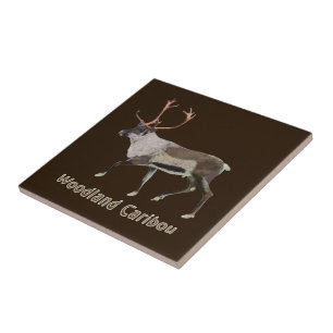 Carreau Caribou des bois