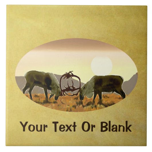 Carreau Caribou Duel (Devant)