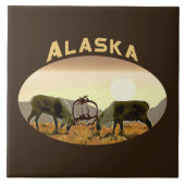 Carreau Caribou Duel - Alaska (Devant)