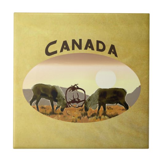 Carreau Caribou Duel - Canada (Devant)