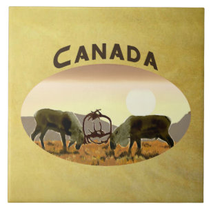 Carreau Caribou Duel - Canada
