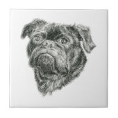 Carreau Carlin (Devant)