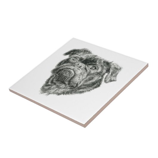 Carreau Carlin (Côté)