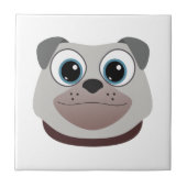 Carreau Carlin (Devant)