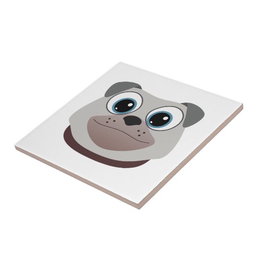 Carreau Carlin (Côté)