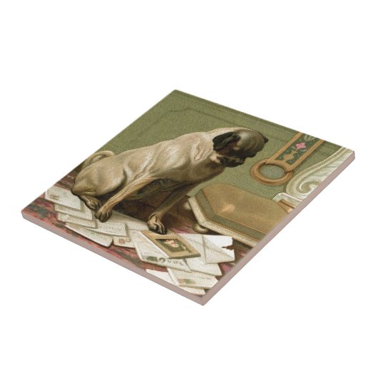 Carreau Carlin avec le courrier (Côté)