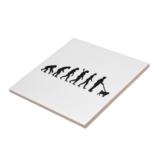 Carreau Carlin d'évolution (Côté)