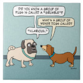 Carreau Carlin et teckel drôles (Devant)