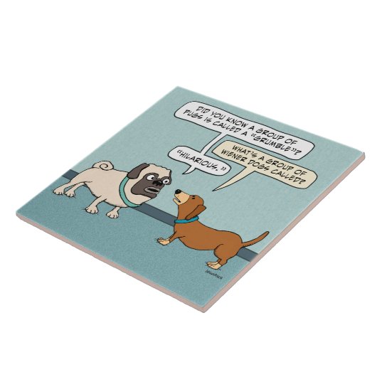 Carreau Carlin et teckel drôles (Côté)