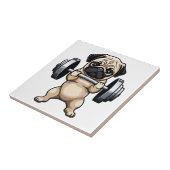 Carreau Carlin fitness (Côté)