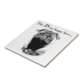 Carreau Carlin Joyeux visage (Côté)